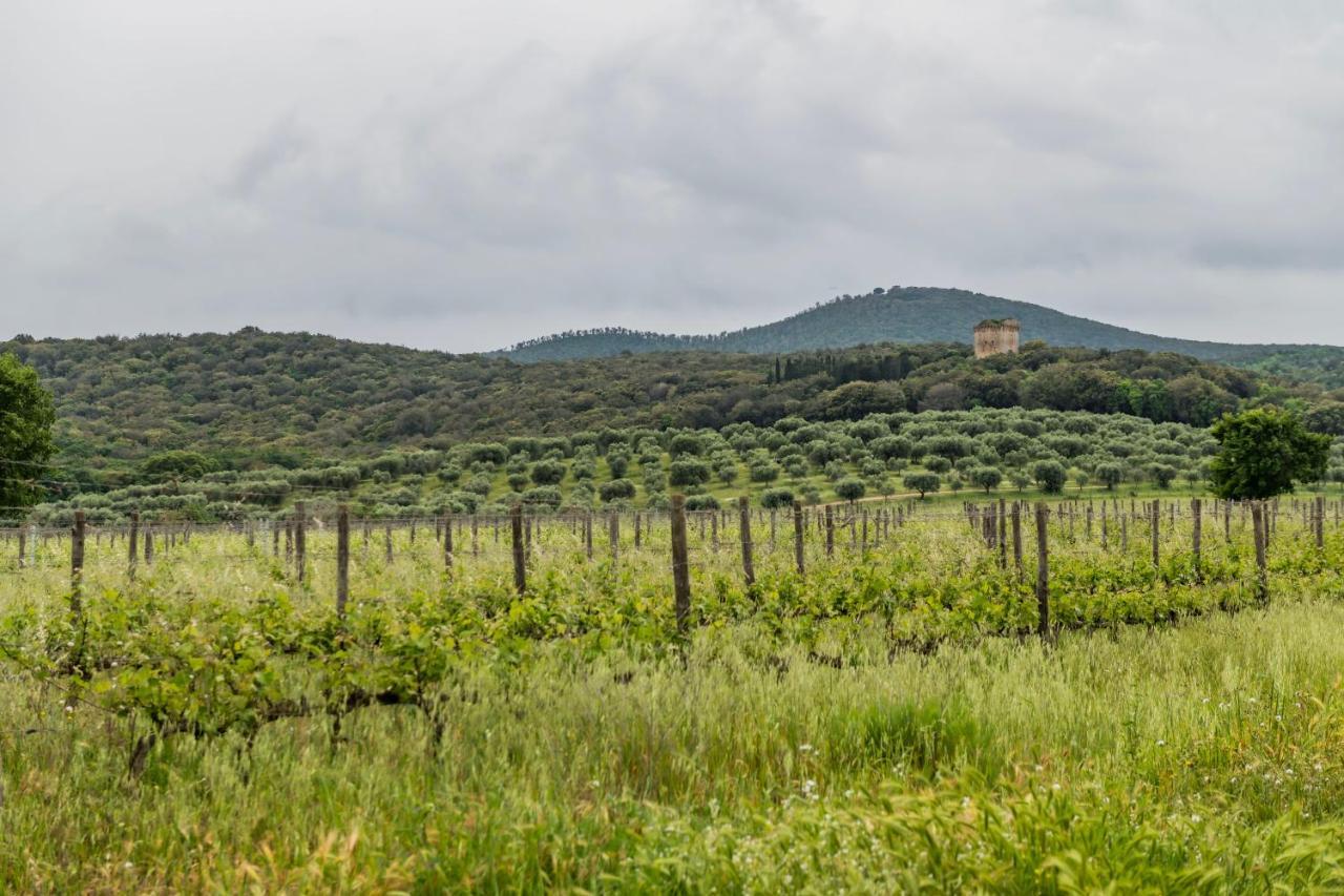 Tenuta Agricola Dell'Uccellina ماليانو إن توسكانا المظهر الخارجي الصورة