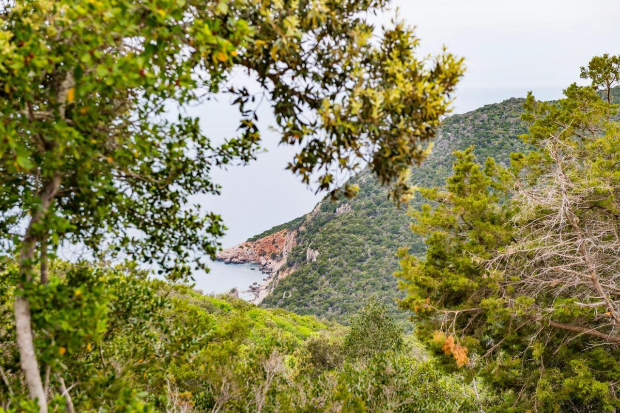 Tenuta Agricola Dell'Uccellina ماليانو إن توسكانا المظهر الخارجي الصورة