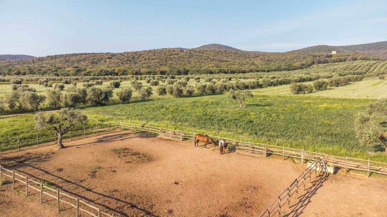 Tenuta Agricola Dell'Uccellina ماليانو إن توسكانا المظهر الخارجي الصورة