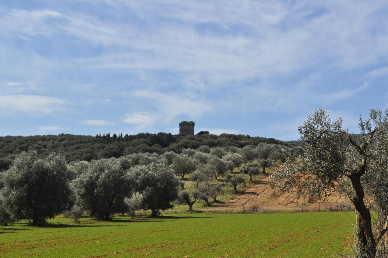 Tenuta Agricola Dell'Uccellina ماليانو إن توسكانا المظهر الخارجي الصورة
